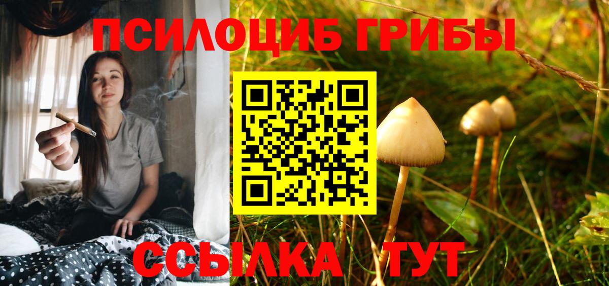 Псилоцибиновые грибы прущие грибы  Вход с VPN  Электрогорск 